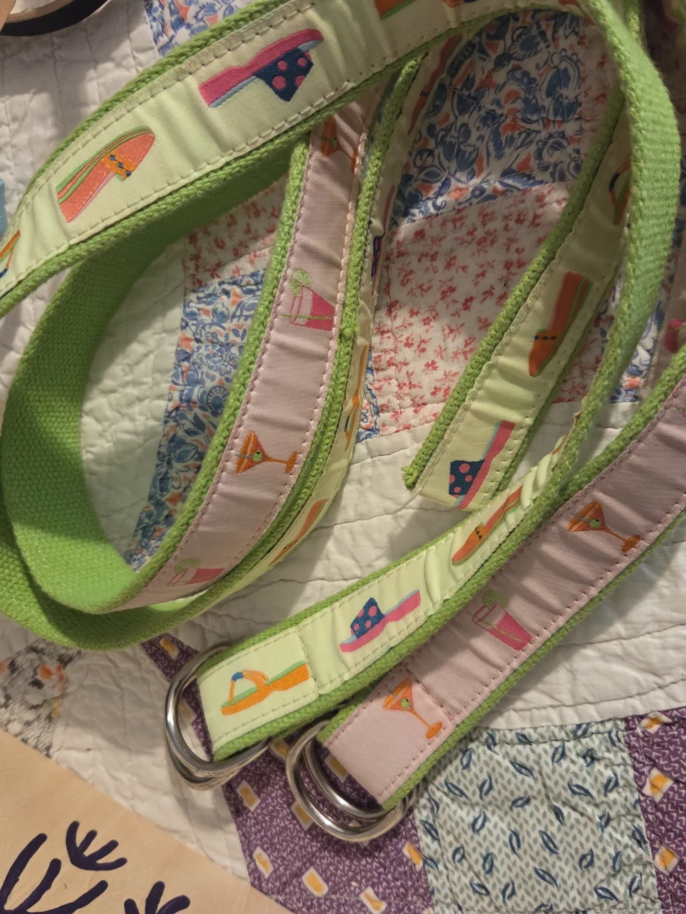 Douglas Paquette Womens Pink Green Cocktail D-Ring Belt Size M Set Of 2 Shoes